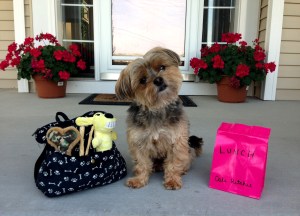Cali's first day of school! Hehe! 