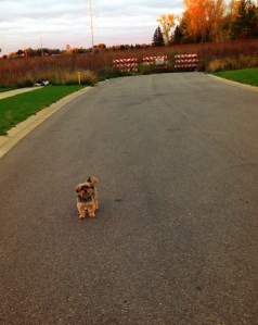 Don't. Take. Another. Step. Mom.