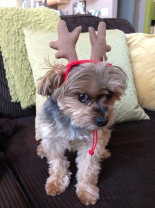 Look at this patient face!