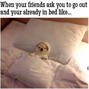 10492560_737675752964184_7077055911494856668_n