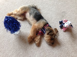 Who knew a patriotic photo shoot would be so exhausting!? HA!