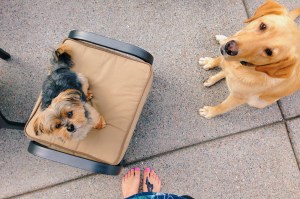 Processed with VSCOcam with c3 preset