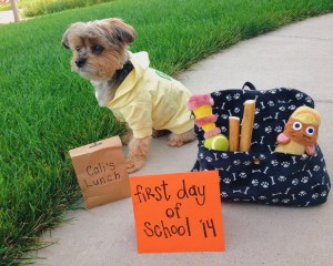 Waiting patiently for the school bus.