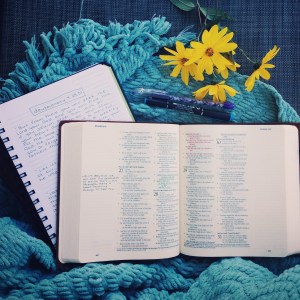 Processed with VSCOcam with g3 preset