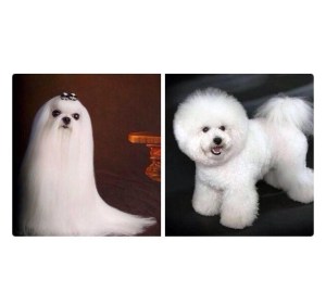 What happens on a humid day