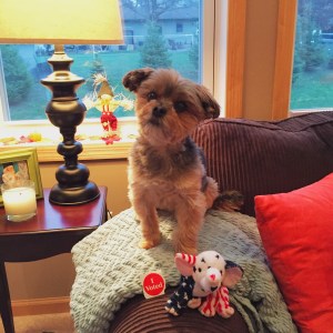 Processed with VSCOcam with s3 preset