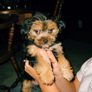 Processed with VSCOcam with c3 preset