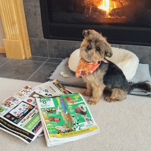 Processed with VSCOcam with m6 preset