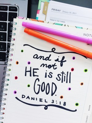 Processed with VSCOcam with s3 preset