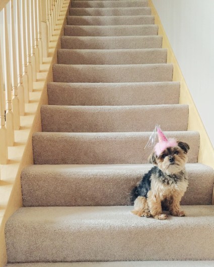 Processed with VSCOcam with m6 preset