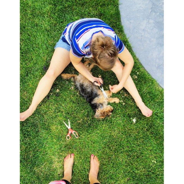 Observing my sister attempt to groom Cali. It sort of worked. 