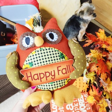 Processed with VSCOcam with s3 preset