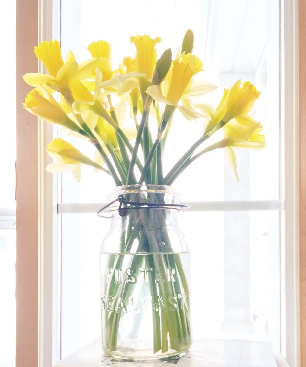 FullSizeRender (1).jpg