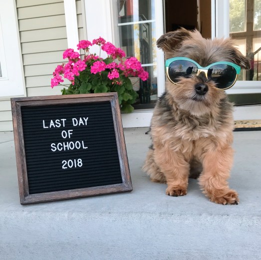 Processed with VSCO with al3 preset